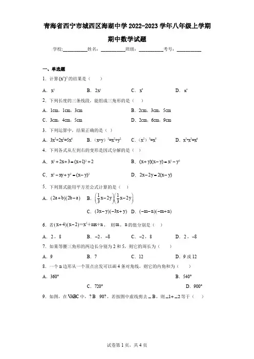 青海省西宁市城西区海湖中学2022-2023学年八年级上学期期中数学试题