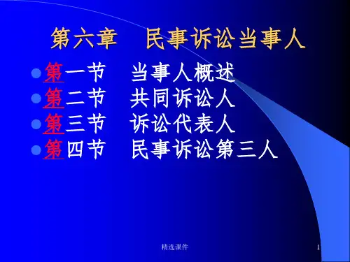 《民事诉讼当事人》PPT课件