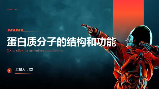 蛋白质分子的结构和功能