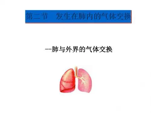 人教版发生在肺内的气体交换课件24PPT