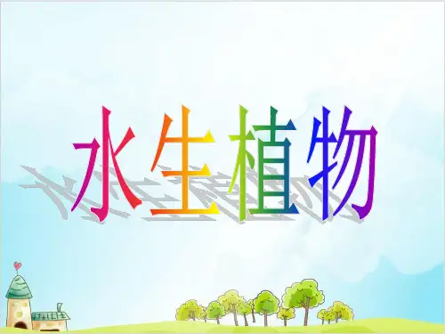 三年级上册科学实用教学课件 水生植物 教科版