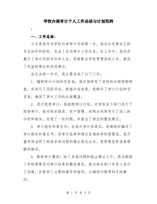 学校内部审计个人工作总结与计划范例