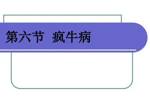 第六节 疯牛病 PPT课件
