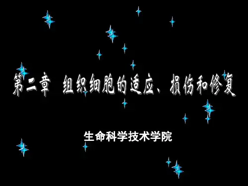 病理学第2章