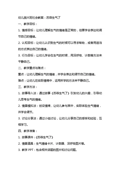幼儿园大班社会教案：苏菲生气了