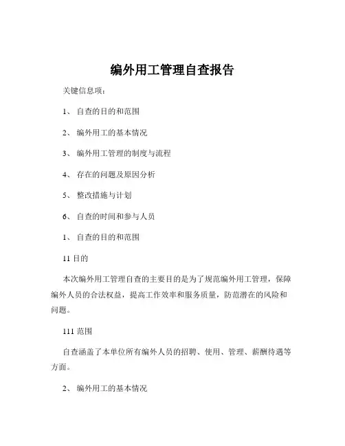 编外用工管理自查报告