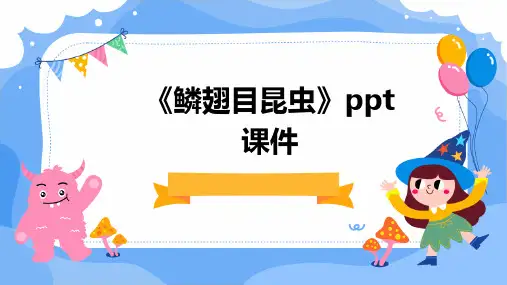 《鳞翅目昆虫好》课件