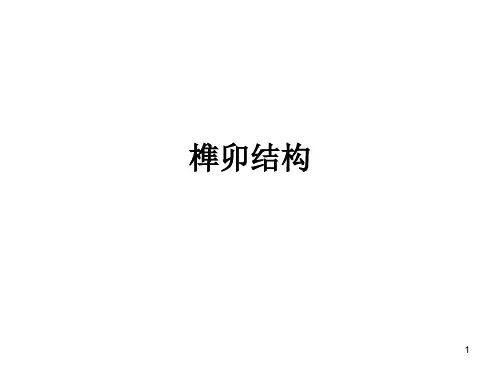 榫卯结构分类详解PPT课件
