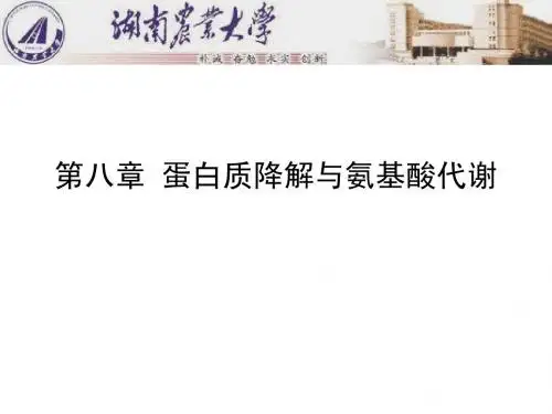 王镜岩版生化第八章 蛋白质的降解与氨基酸代谢  ppt