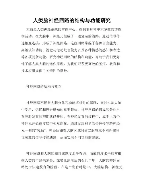 人类脑神经回路的结构与功能研究