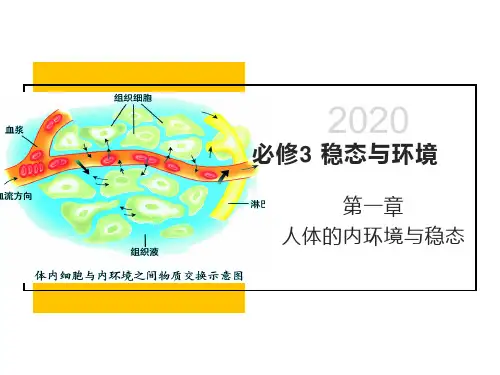 《2.1内环境的稳态》优质课课件ppt