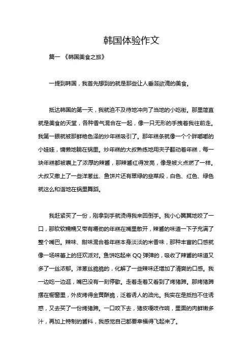 韩国体验作文