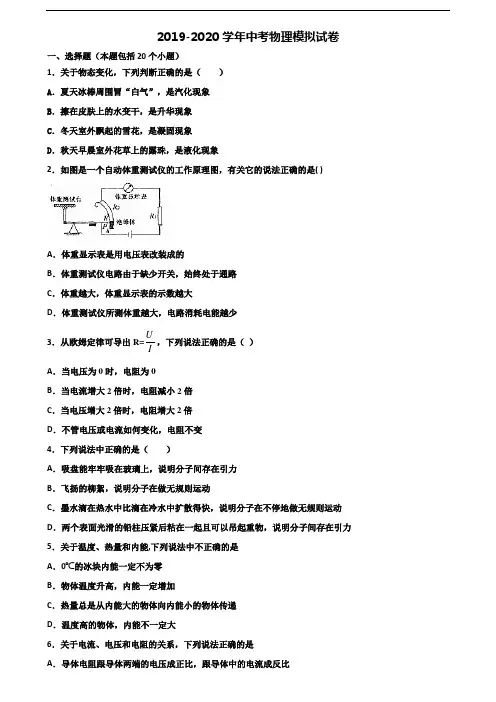 2020湖南省岳阳市中考物理达标检测试题