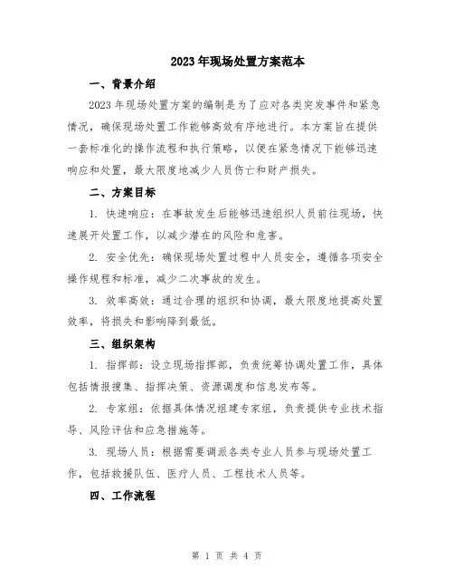 2023年现场处置方案范本