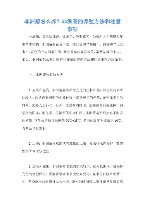 非洲菊怎么养？非洲菊的养殖方法和注意事项