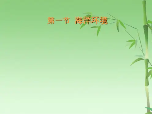  海洋环境与海洋生物生态类群(共115张PPT)