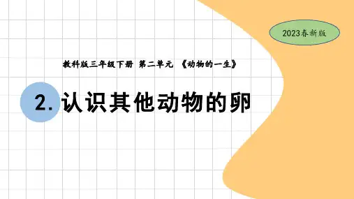 教科版小学三年级下册科学2-2《认识其他动物的卵》(教学课件)