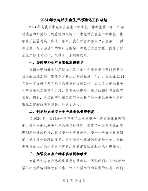 2024年水电站安全生产标准化工作总结