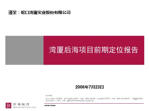 世联-湾厦后海项目前期定位及物业发展建议212379230-