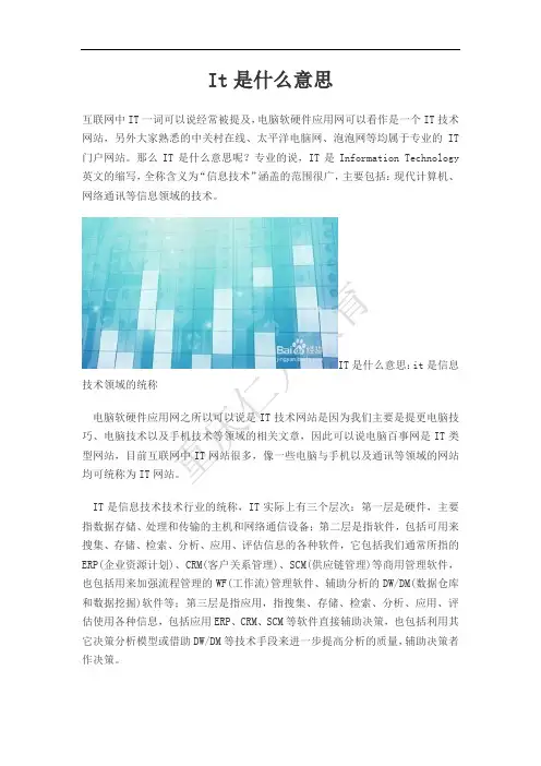 IT是什么意思