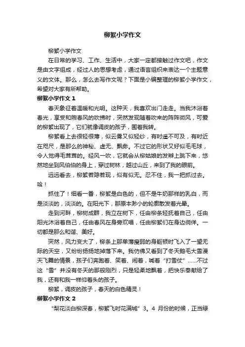柳絮小学作文
