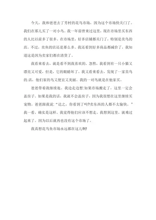 逛花乌市场的作文