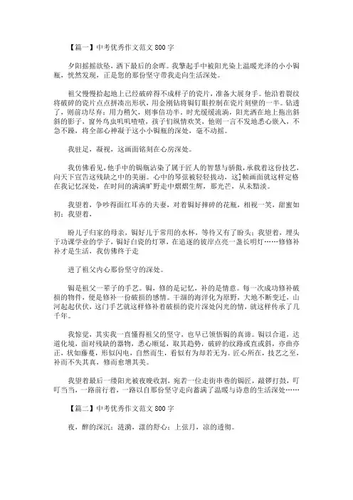 最新中考优秀作文范文800字：走向深处(精选)