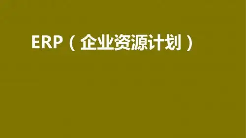ERP(企业资源计划)第1章PPT
