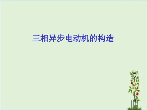 三相异步电动机定子铁芯定子铁芯是电机磁路的一部分