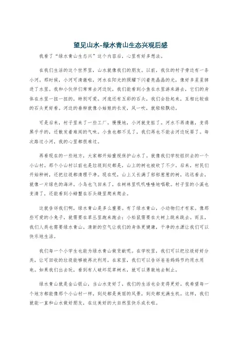 望见山水-绿水青山生态兴观后感