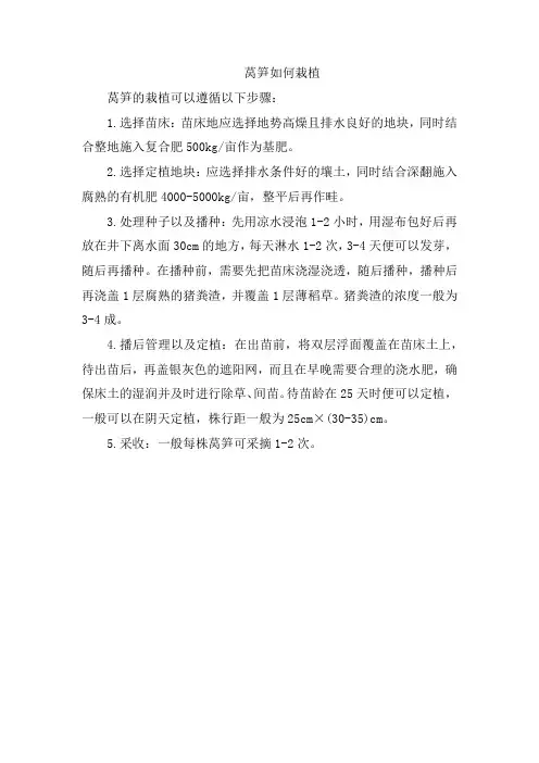 莴笋如何栽植