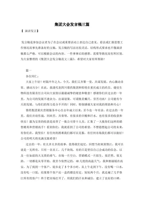 集团大会发言稿三篇