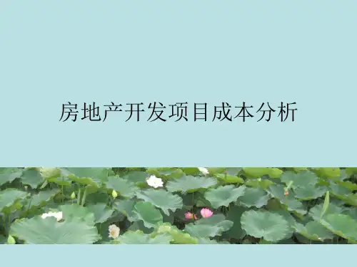 房地产开发项目成本分析.pptx