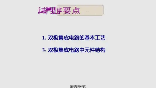 MOS集成电路的基本制造工艺PPT课件