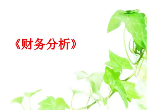 财务分析第三章