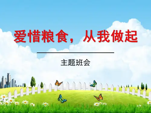 初中主题班会《爱惜粮食,从我做起》精品教学课件PPT优秀课件