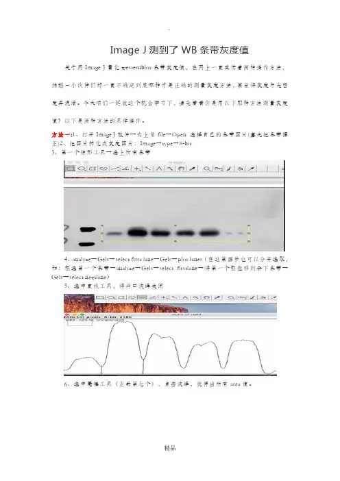 WB灰度值测定