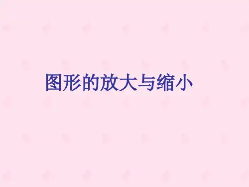 苏教版六年级下册数学课件4.1 放大与缩小(共21张PPT)