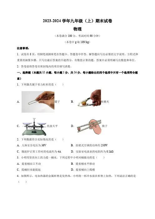 江苏南京市鼓楼区2023-2024学年九年级上学期期末物理试卷(含答案解析)