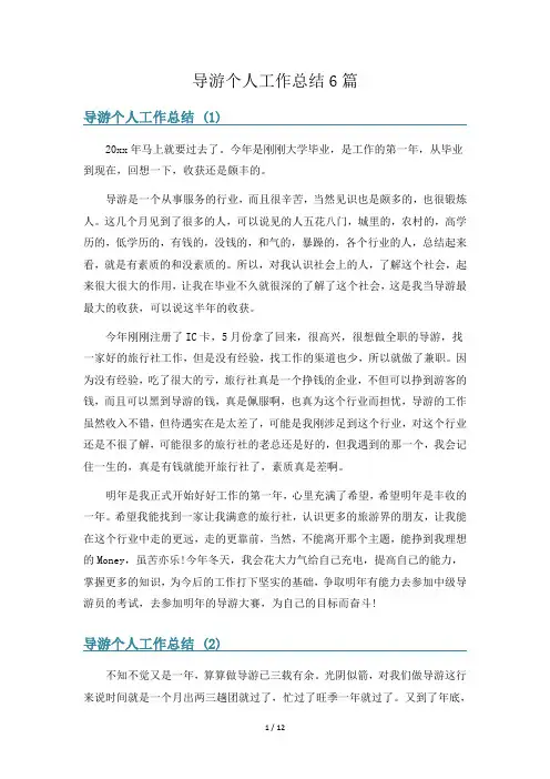 导游个人工作总结6篇