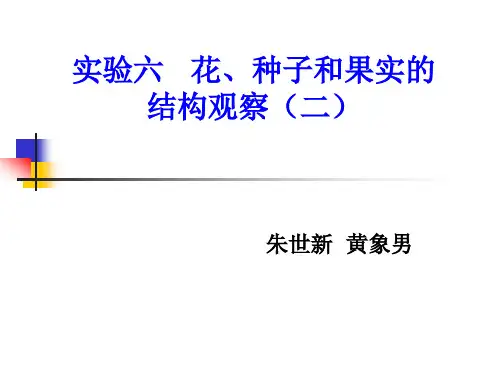 实验六  花、种子和果实的结构观察(二)