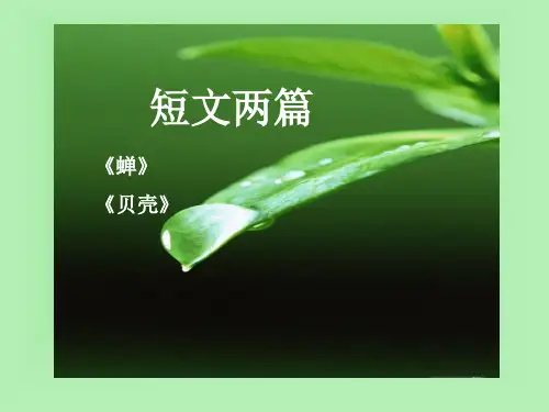 短文两篇《蝉》《》贝壳 (6)