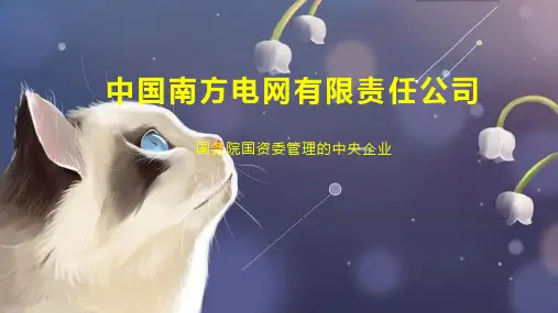 中国南方电网有限责任公司