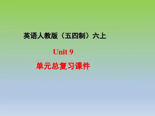 人教版(五四制)六年级英语上册Unit9_单元总复习课件