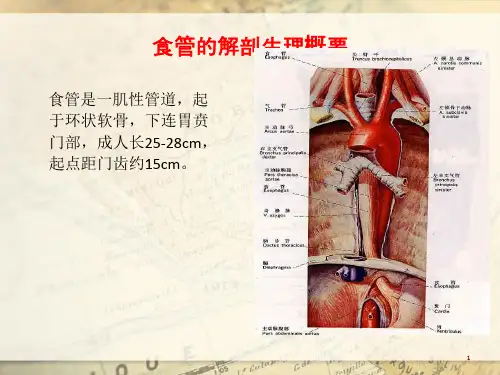 食管癌教学课件.ppt