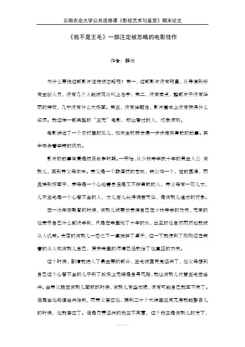 《我不是王毛》影评