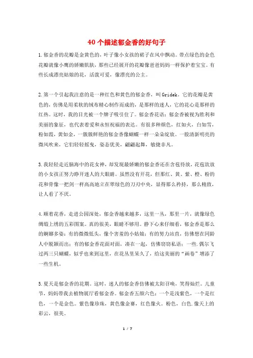 40个描述郁金香的好句子