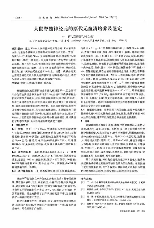 大鼠脊髓神经元的原代无血清培养及鉴定