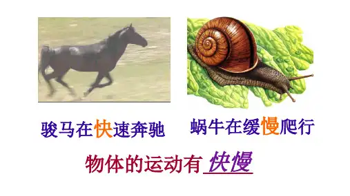 沪科版物理八年级第二章第三节快与慢第一课时(23页)