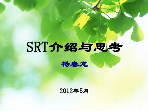 SRT介绍